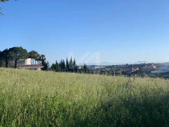 Properties for sale in Nueva Andalucia