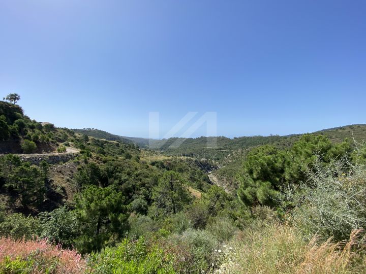 Properties for sale in Marbella