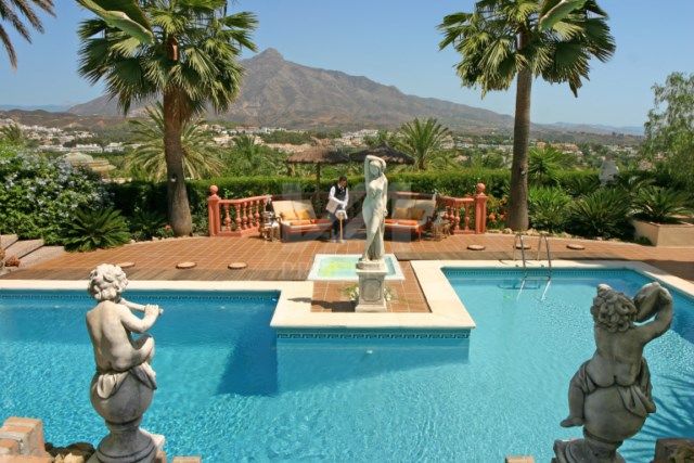 Properties for holiday rent in Nueva Andalucia