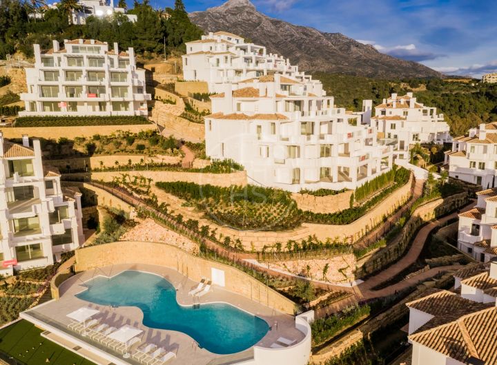 Properties for sale in Nueva Andalucia