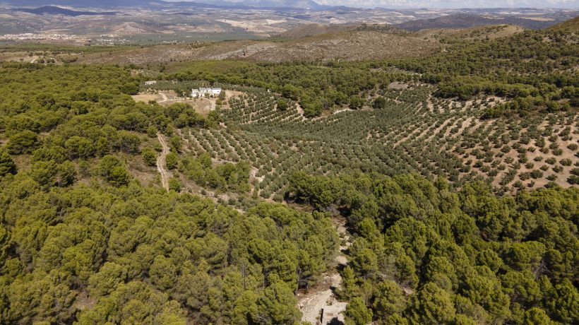 Inversión Única en Andalucía con Producción Agrícola y Oportunidades Recreativas