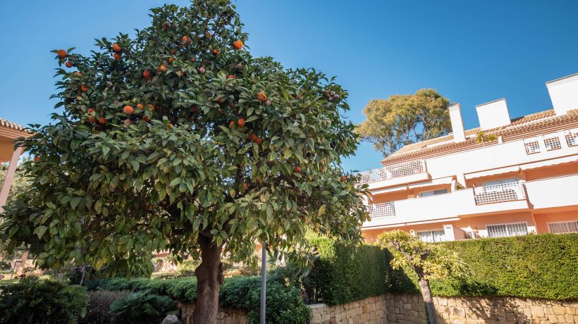 Fabulous property in Elviria, Marbella with 24h security