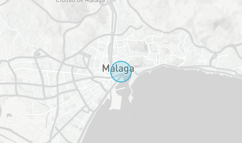 Apartamento vacacional de 3 dormitorios en el centro de Málaga con parking
