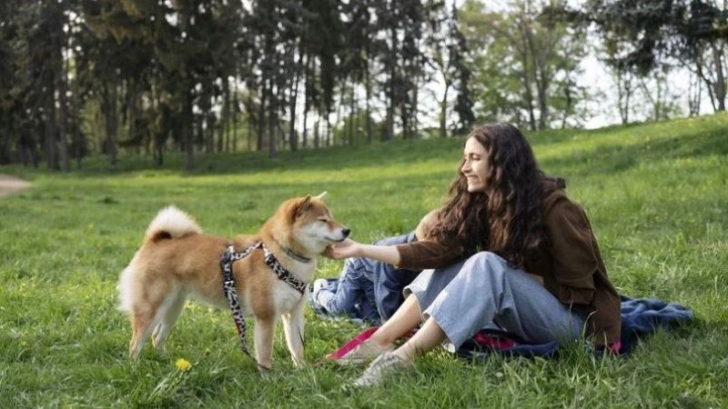woman playing with her pet dog outdoors, featured image for the article