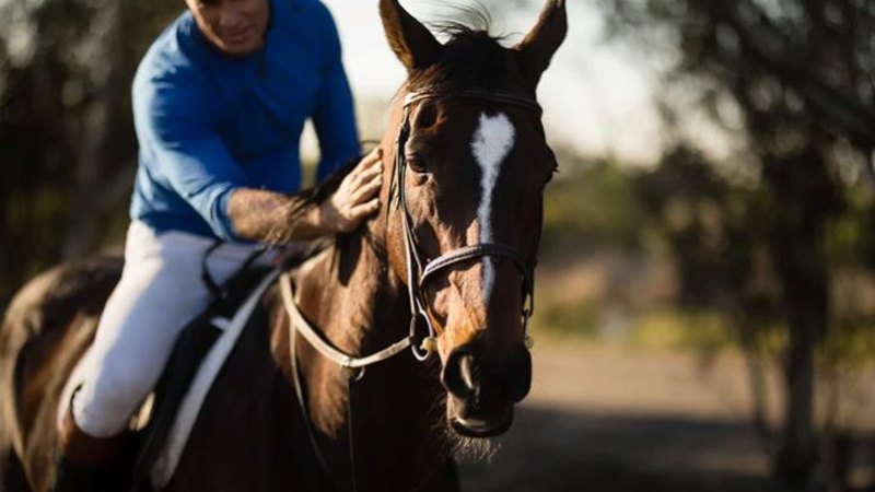 man riding a horse, featured image for the article
