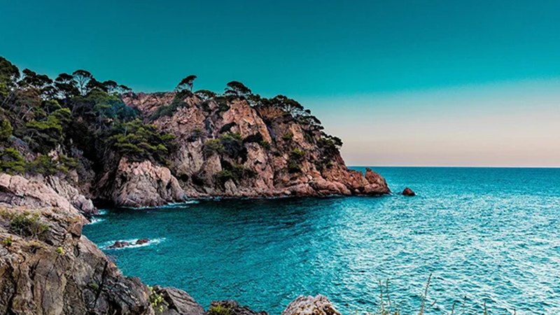 beautiful Marbella beach, featured image for the article