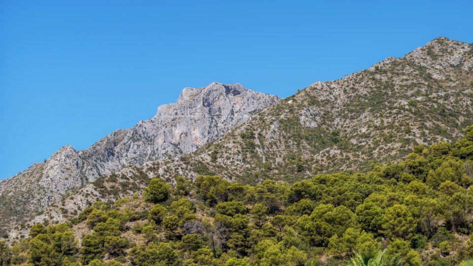 Marbella Golden Mile, Villa de luxe à Cascada de Camojan, Marbella Golden Mile