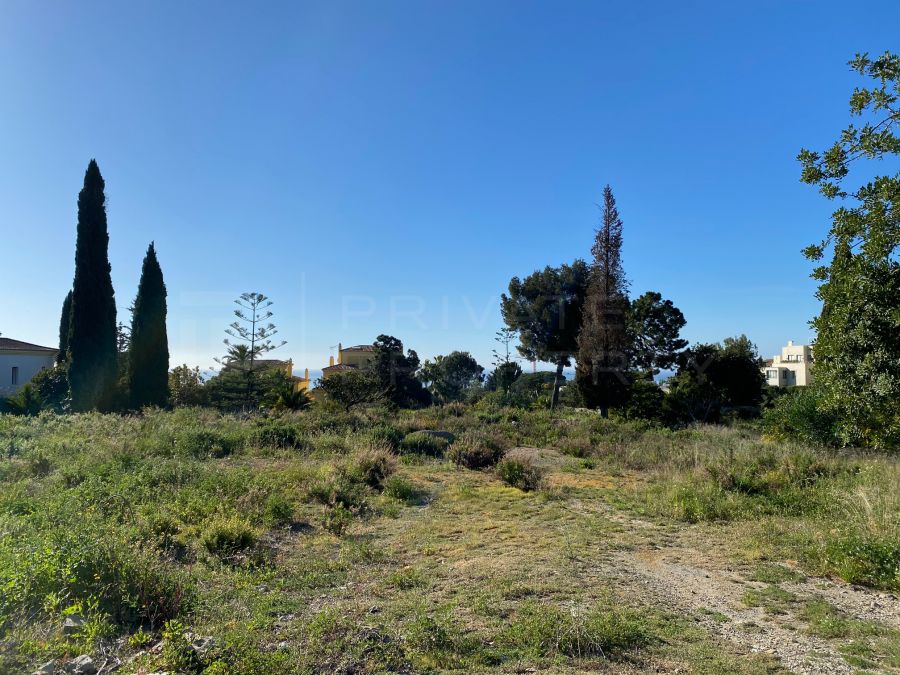 Large plot on the Golden Mile