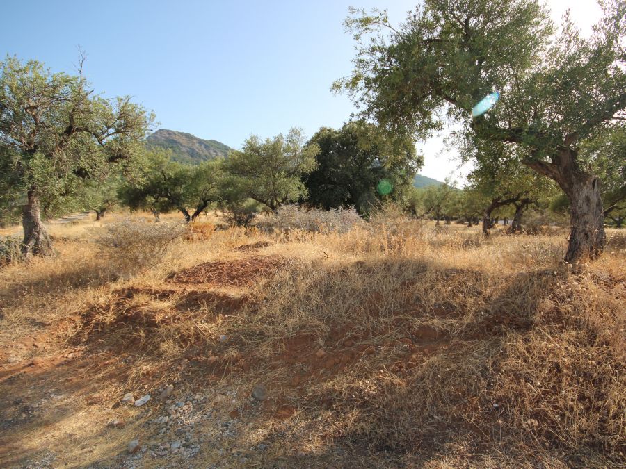 Rural Plot of Land La Cala