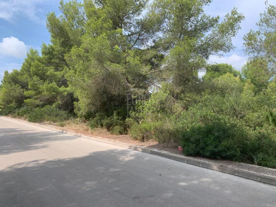 Parcela llana a la venta en Jávea en Costa Nova Granadella. Orientación Sur.