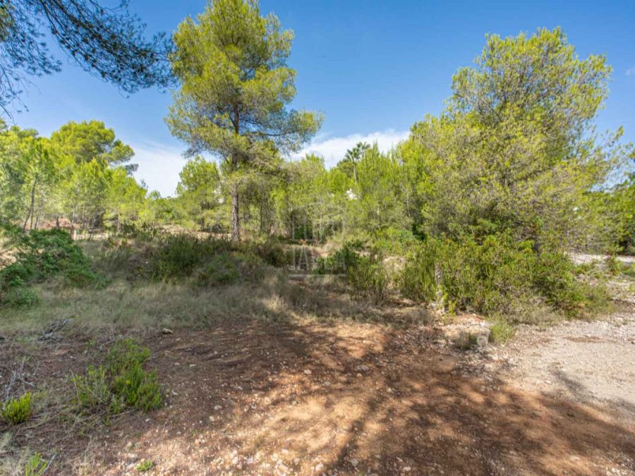 Parcela a la venta en Jávea con vistas al campo.