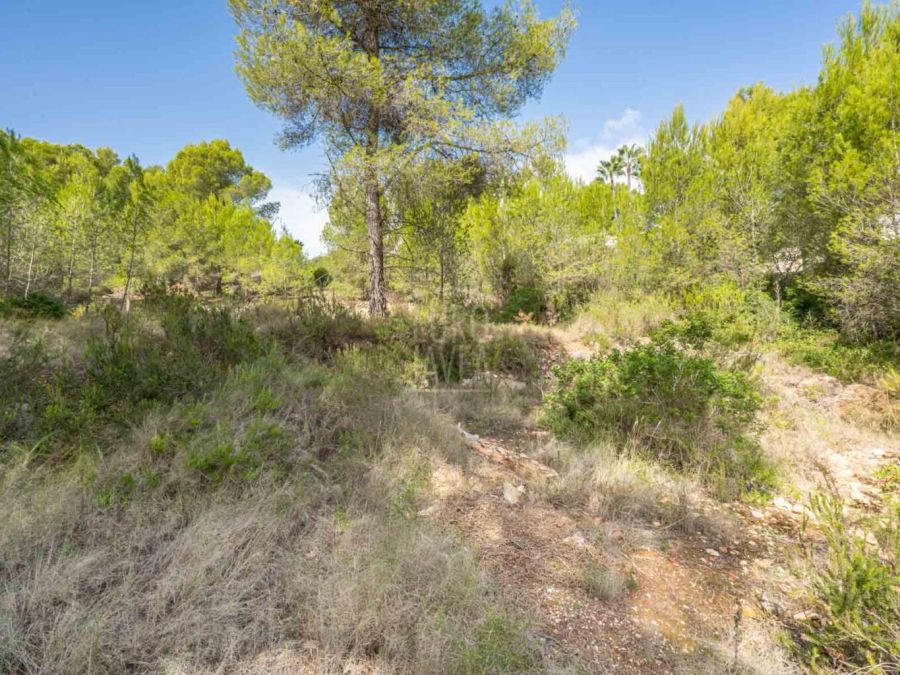 Parcela a la venta en Jávea con vistas al campo.