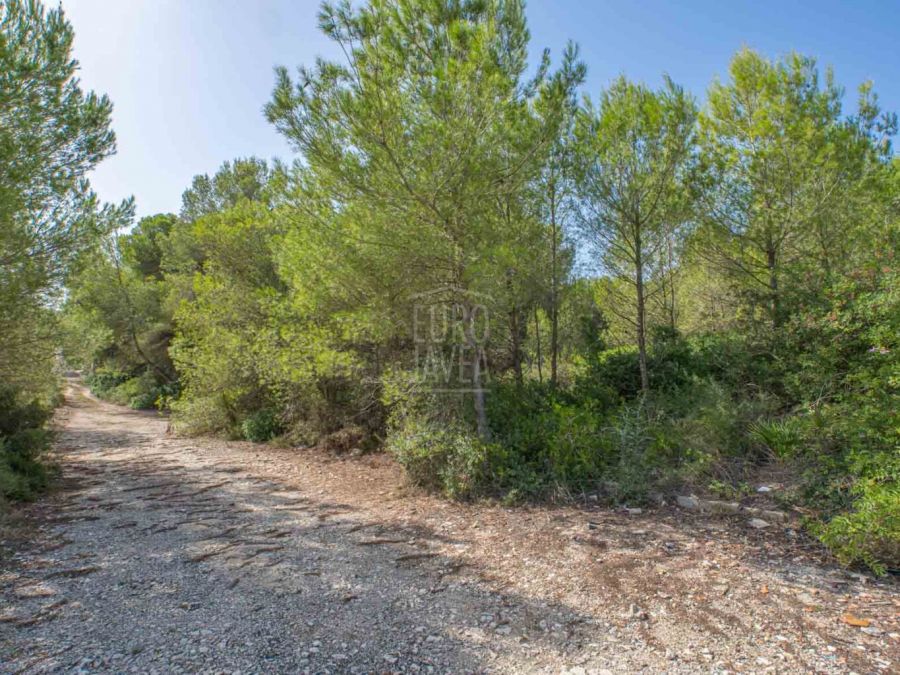 Parcela a la venta en Jávea con vistas al campo.