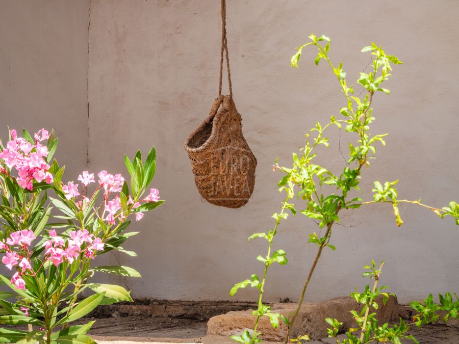 En exclusiva Finca Banyan en Jávea, a los pies del Montgó