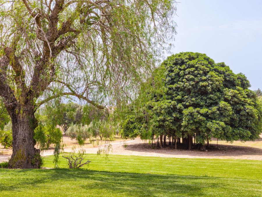En exclusiva Finca Banyan en Jávea, a los pies del Montgó