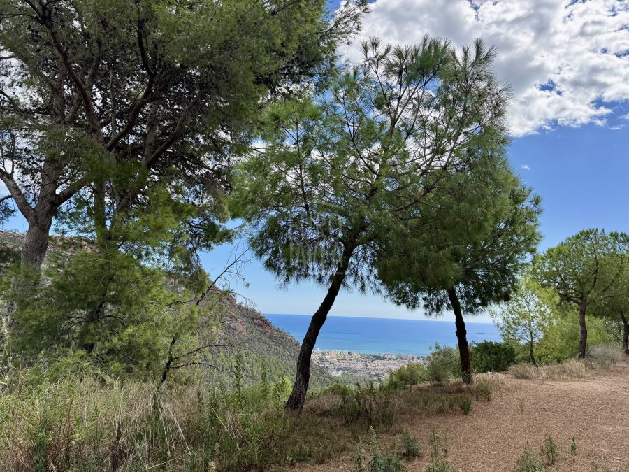 La Joya del Desierto de las Palmas, una finca exclusiva y única en la Costa del Levante