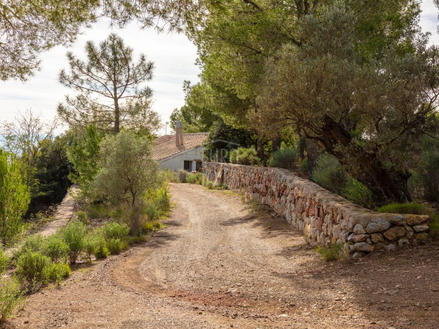 The Jewel of the Desierto de las Palmas, an exclusive and unique estate on the Levante Coast