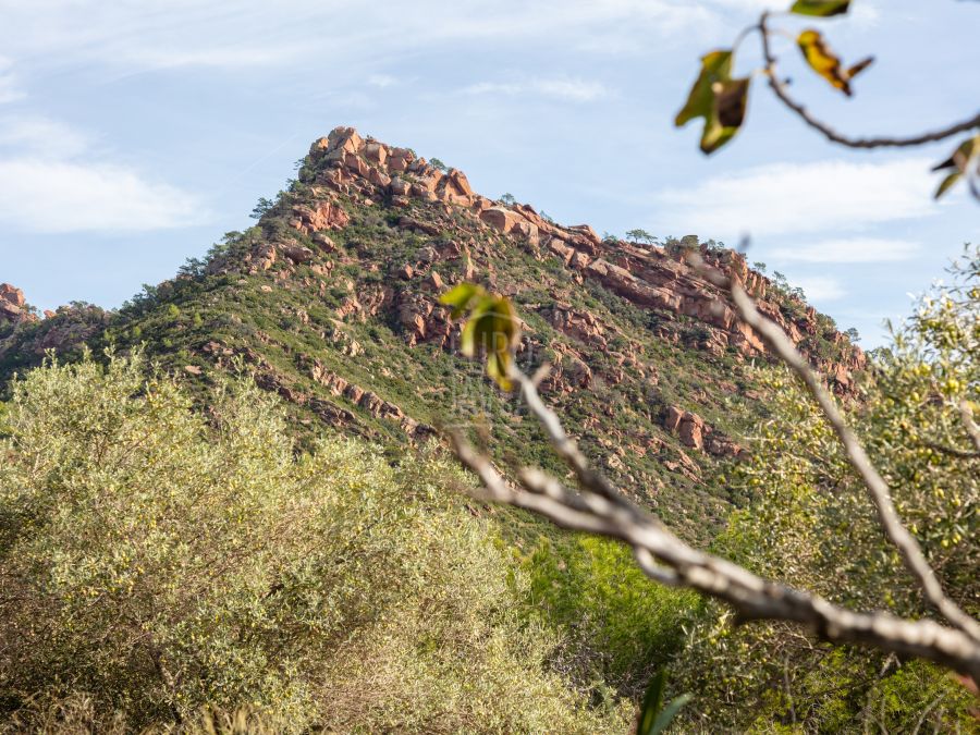 The Jewel of the Desierto de las Palmas, an exclusive and unique estate on the Levante Coast