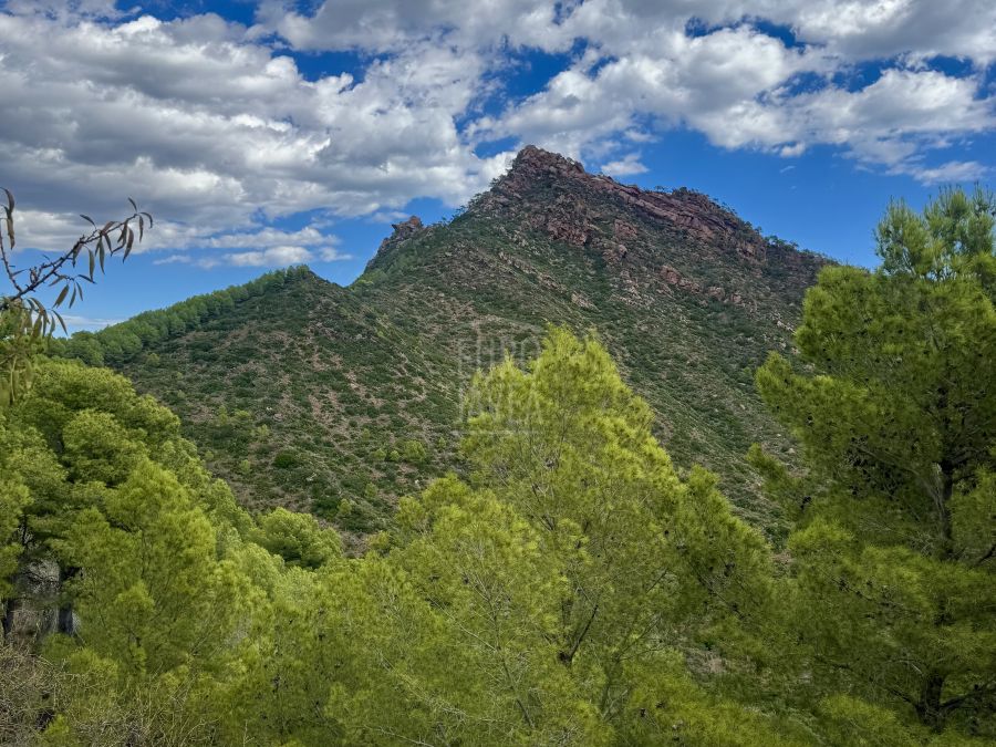 La Joya del Desierto de las Palmas, una finca exclusiva y única en la Costa del Levante