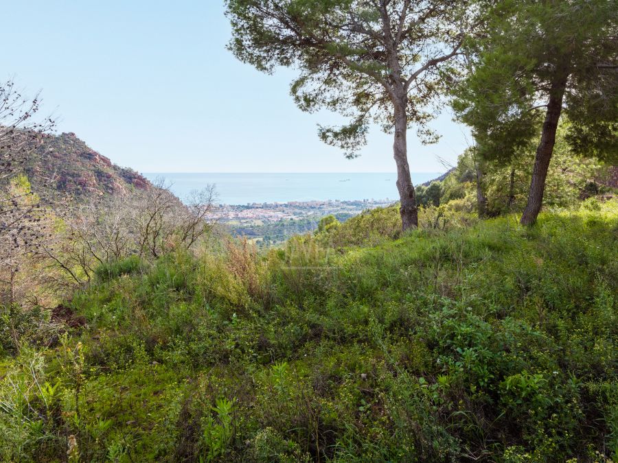 The Jewel of the Desierto de las Palmas, an exclusive and unique estate on the Levante Coast