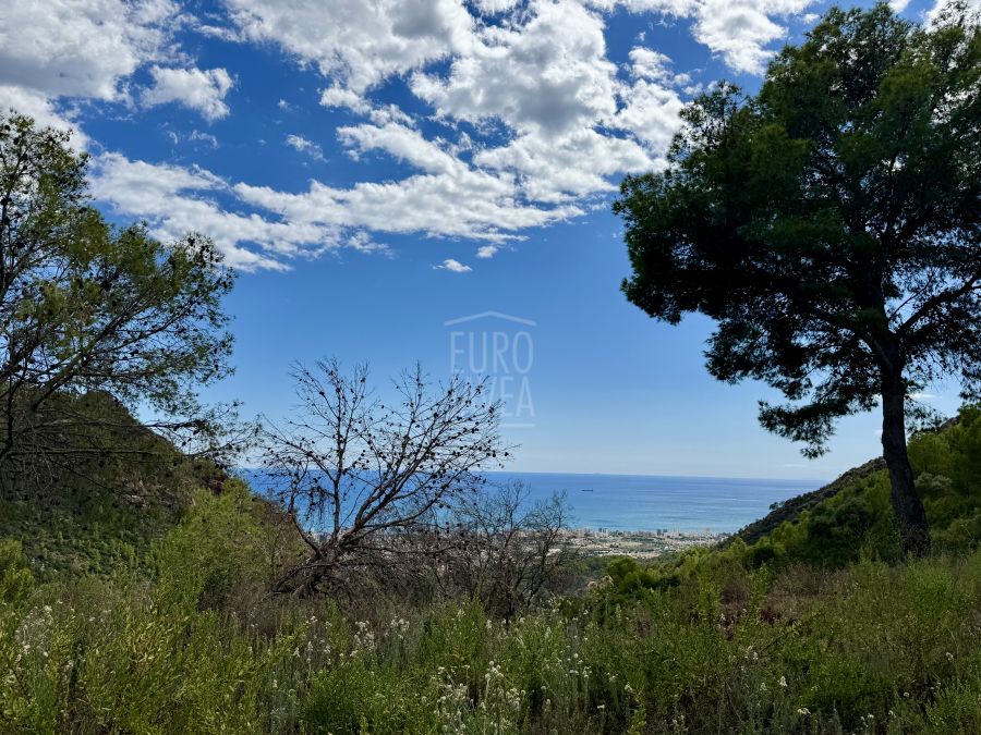 La Joya del Desierto de las Palmas, una finca exclusiva y única en la Costa del Levante