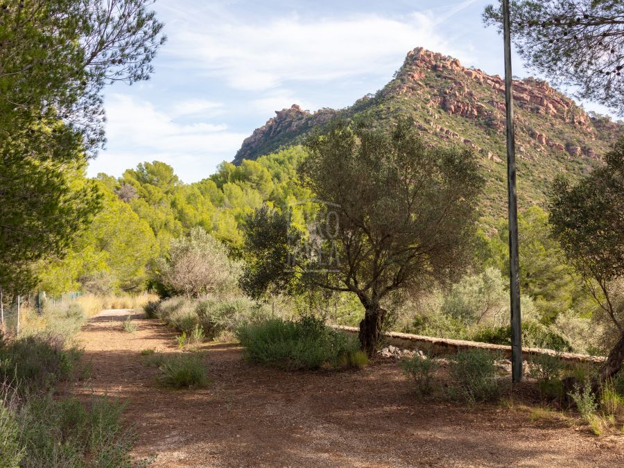 The Jewel of the Desierto de las Palmas, an exclusive and unique estate on the Levante Coast