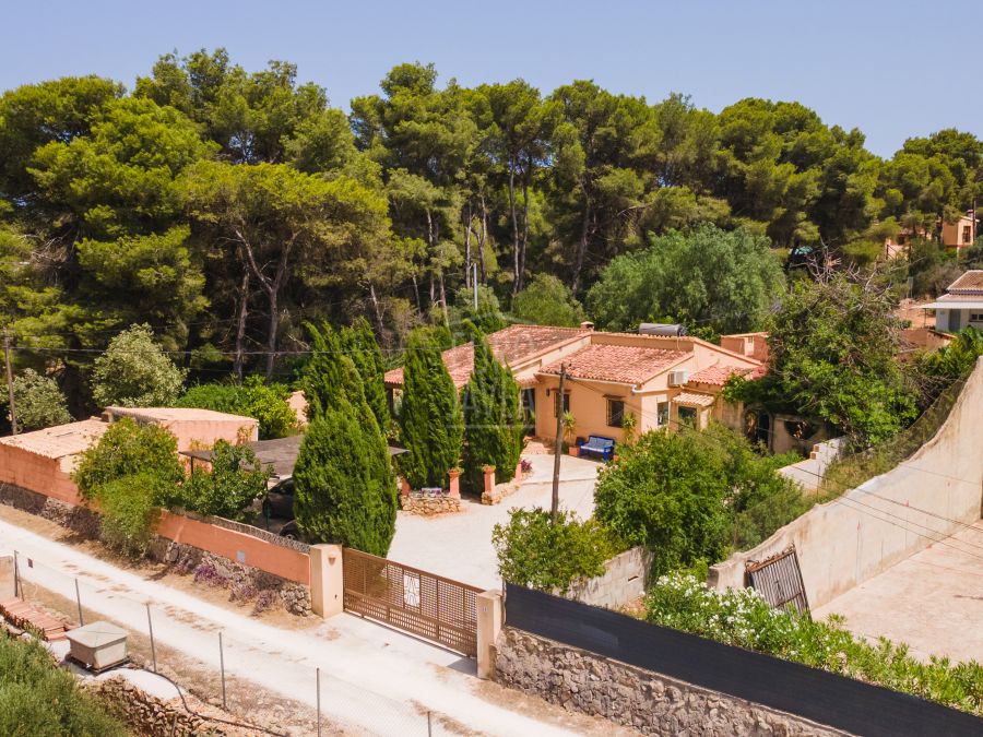 Villa en La Plana