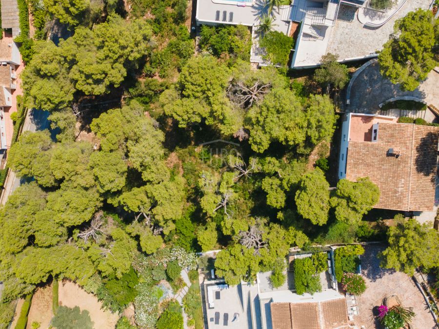 Villa Alba met spectaculair zeezicht en ruim perceel in Costa Nova, Jávea