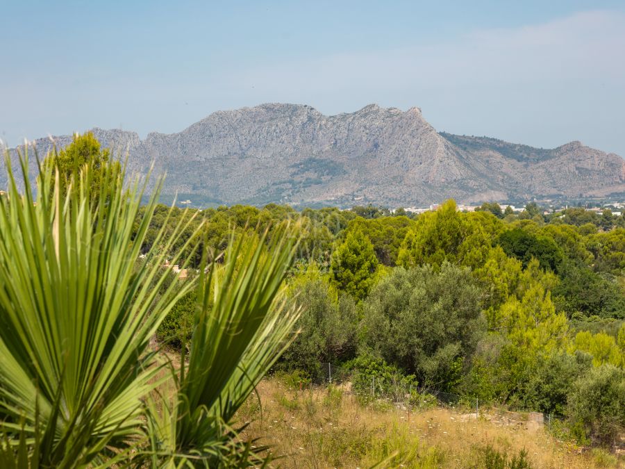 Villa dans Pedreguer