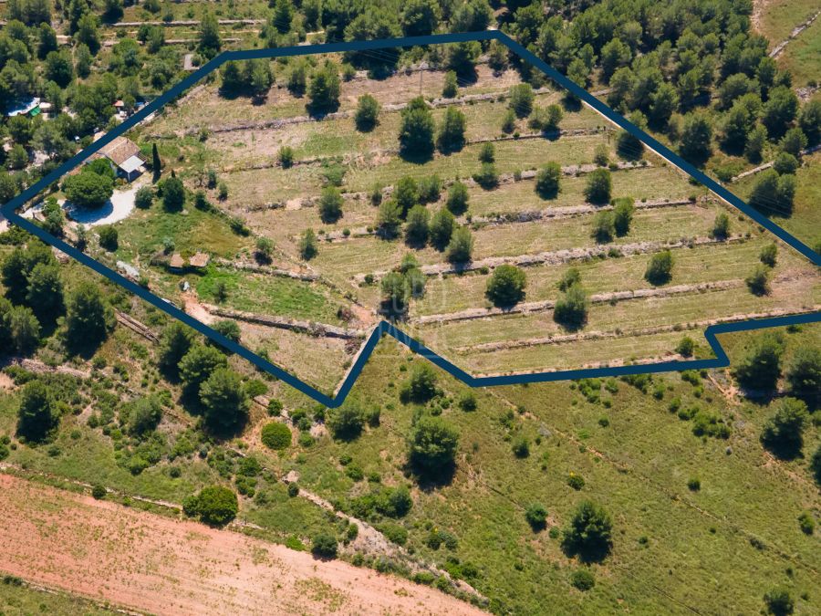 Traditional Country House with Original Tosca and 17,000 m² near the Golf Club, Jávea