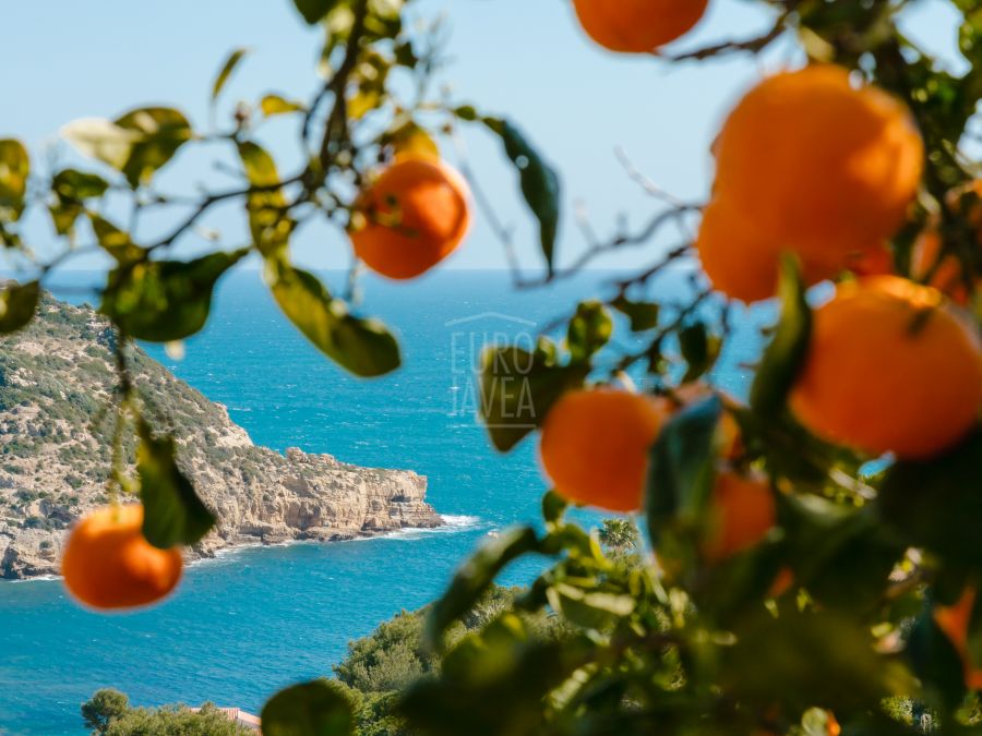 Villa te koop in Jávea el Portichol, met prachtig uitzicht op de zee, op een steenworp afstand van het strand van La Barraca
