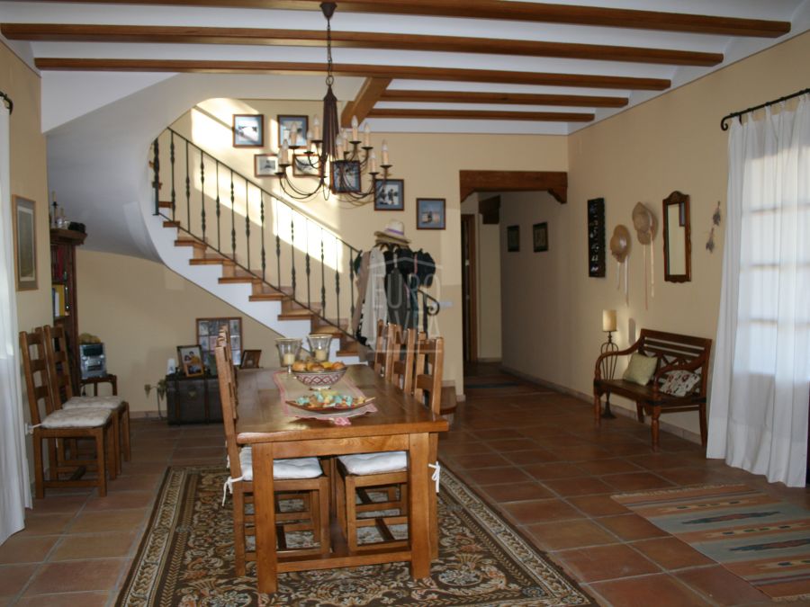 Finca te koop in Jávea voor het fokken en huisvesten van paarden.