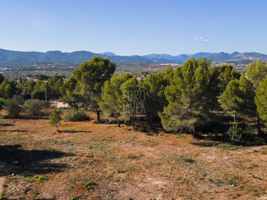 Urbanized plot for sale exclusively in Montgo Garroferal area ,with project and license