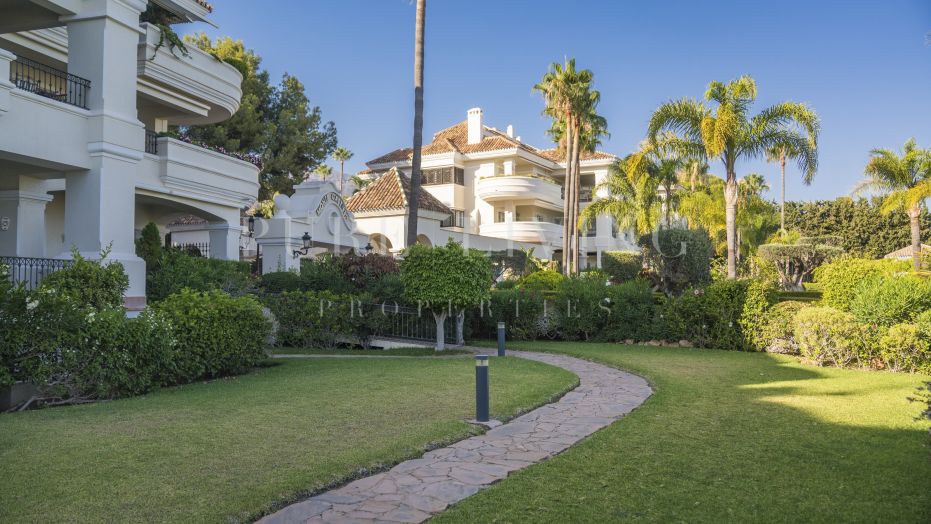 Newly Renovated Ground Floor Apartment