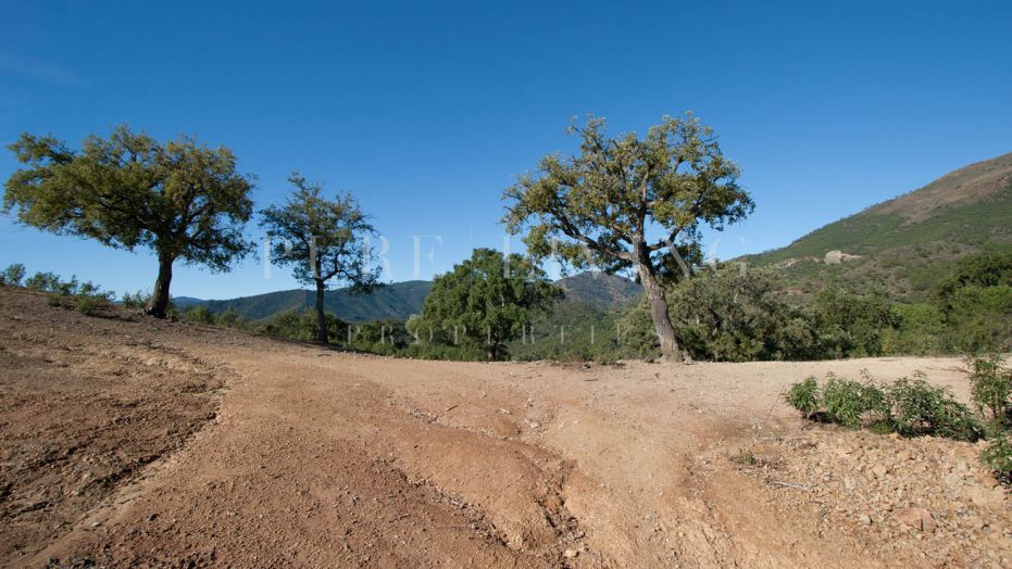 An Exceptional Elevated Plot with Panoramic Mediterranean Views and Unrivalled Privacy