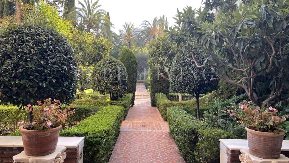 Beachside 3 bedrooms apartment in Don Gonzalo