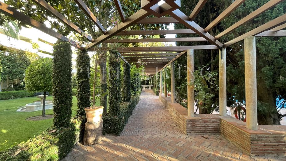 Beachside 3 bedrooms apartment in Don Gonzalo