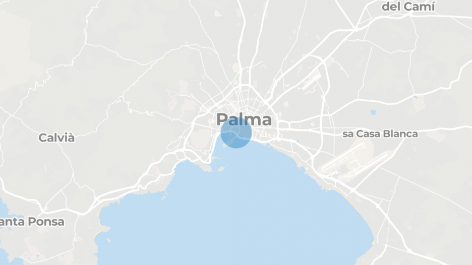La lonja, Palma de Mallorca, Balearic Islands province