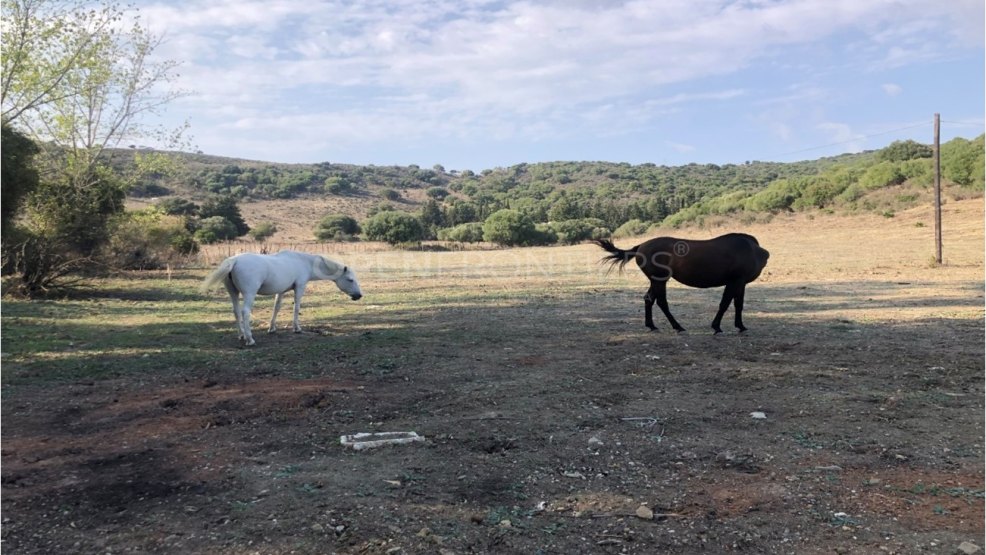Finca Aguadulce – An Exceptional Country Estate Near Sotogrande