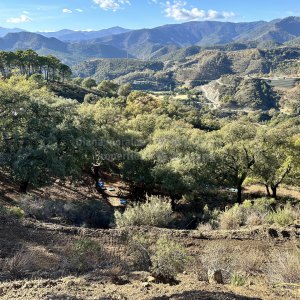 Terrain à La Zagaleta