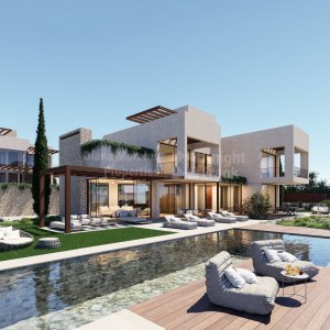 Villa project for sale in Los Flamingos