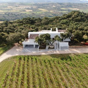 Ronda, Villa for sale within The Wine and Country Club