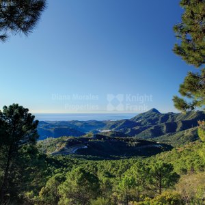 Building Land for Sale in the Exclusive Estate of La Zagaleta