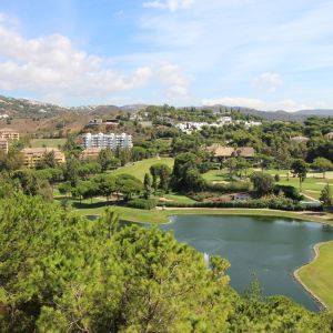 Marbella villas & apartments in Rio Real