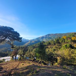 Außergewöhnliches Grundstück in La Zagaleta