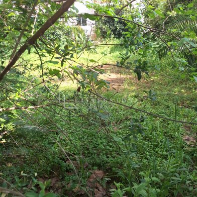 Plot zu verkaufen auf Rio Verde Playa, Marbella Goldene Meile