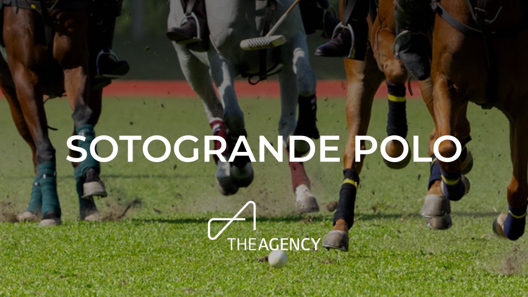 Polo Horses in Sotogrande