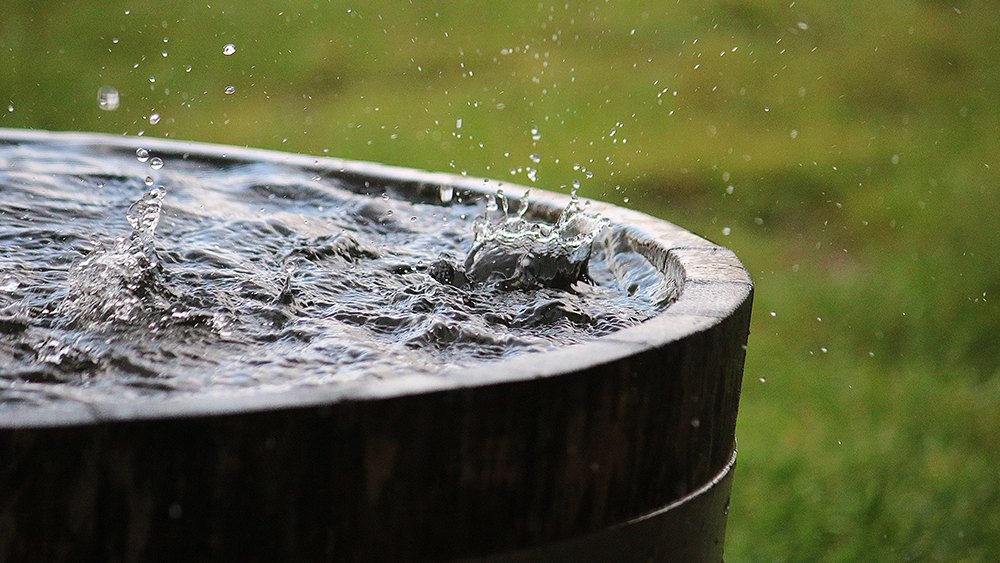 a closeup image of a barrel catching the rain drops, featured image for the article 