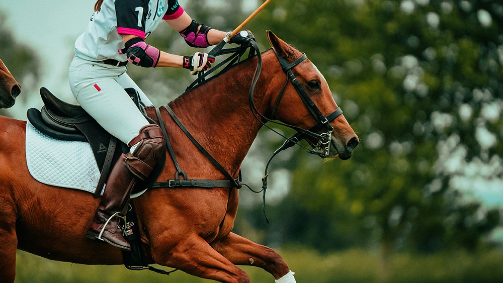 a closup image of a polo player and horse, featured image for the article 