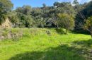 Finca for sale in El Velerin, Estepona